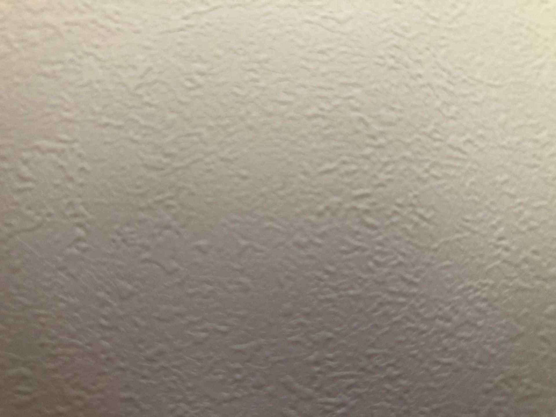 Showroom Display Film — Diatom Mud White (S030)