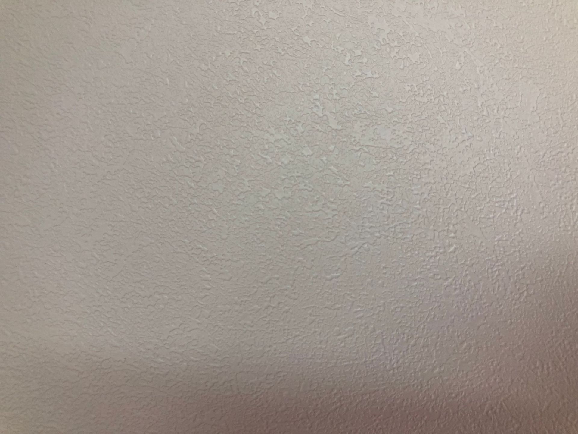 Showroom Display Film — Diatom Mud White (S030)